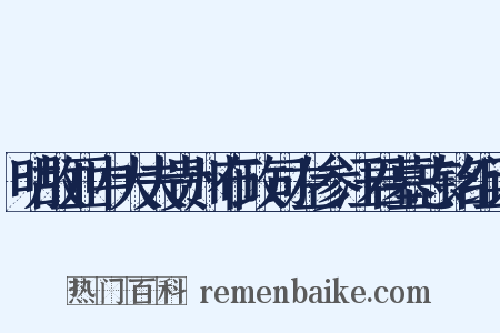 明故亚中大夫贵州布政司左参汪君墓志铭组词是什么意思的图片